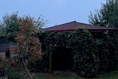 Casă individuală cu 5 camere cu Teren 800 Mp în Mihail Kogălniceanu - 3