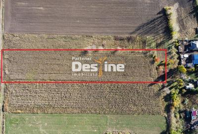 Oportunitate de investitie teren intravilan 7535 mp utilitati aproape, Cositeni - 3