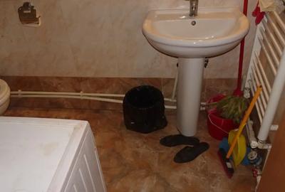 Garsonieră în Gojdu - 1