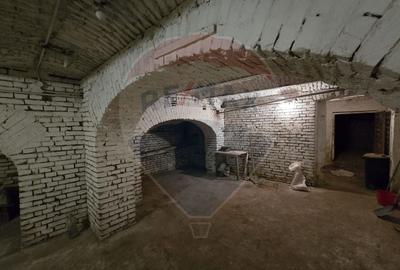 Spatiu ultracentral Craiova de inchiriat - 7