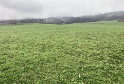 Miroslava! Teren agricol 6435, la 2 min de Primarie! Miroslava! Teren agricol 6435, la 2 min de Primarie! - 1