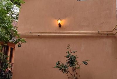 Vand casa 3 camere central - 2