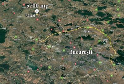Teren Construcții intravilan de 5700 mp, în Răcari - 4
