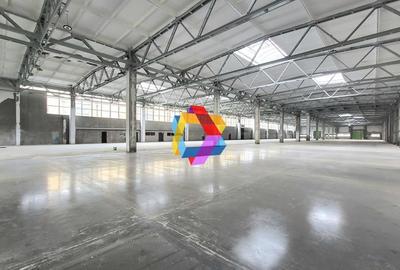 Spatiu industrial - 6000 mp  # plus-imo.ro - 3