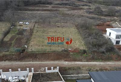 Teren de 990 mp, în Cetate - 6