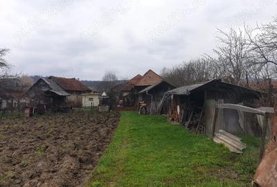 Vand,Inchiriez,Schimb,Casa in Berevoesti Arges - 3