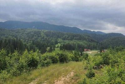 Spațiu comercial, în Central