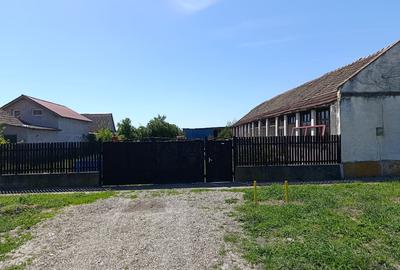 Casă individuală cu 4 camere cu Teren 3527 Mp în Dudeștii Noi - 1