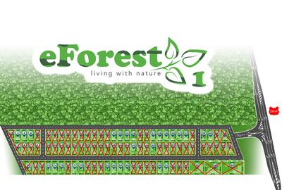 Crevedia, Dambovita - 1