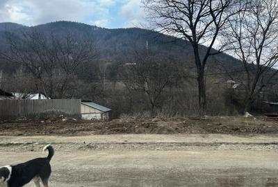 Spațiu comercial, de 800 mp, în Central - 4