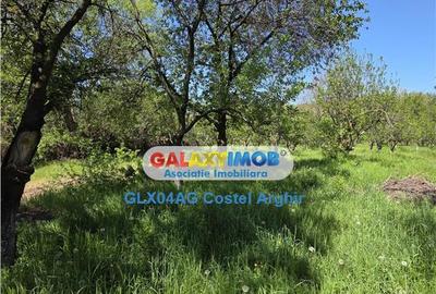 Teren de 3600 mp, în Călinești - 3