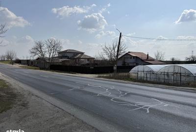 Teren de 4990 mp, în Frumușani - 6