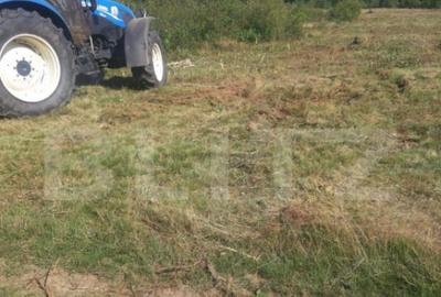 Teren extravilan 3300 mp, Car?i?oara- Set - 5