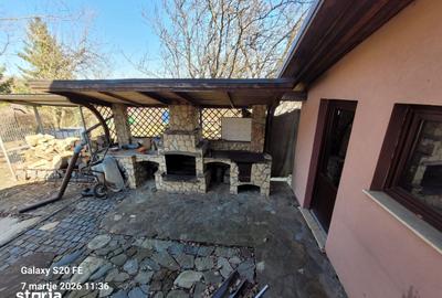 Casă cu 4 camere cu Teren 1200 Mp în Sadu - 8