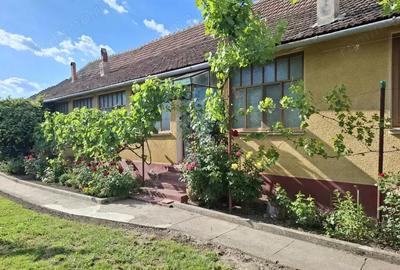 Casa 5 camere cu teren generos in Seitin judetul Arad - 11