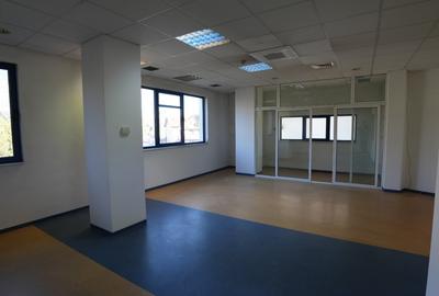 Inchiriere Spatiu Comercial 395 mp P+E Palas Campus Trafic Intens - 14