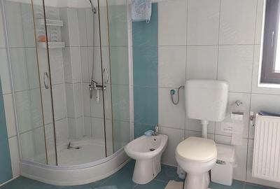 Casă cu Teren 1694 Mp în Snagov - 15