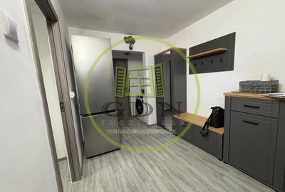 Apartament cu 2 camere decomandat, mobilat în Brazda lui Novac - 8