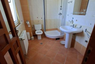 Dumbravita la intrare,  pentru locuit sau afacere - 6