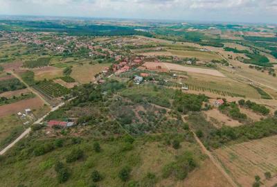 De vanzare Teren 3995mp intravilan Saldabagiu de Munte - 7