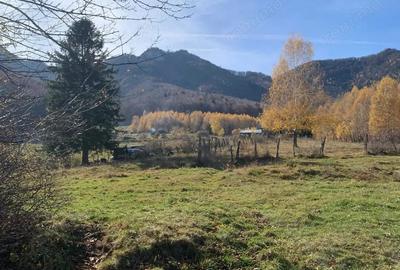 Teren în Tohănița - 3
