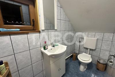 Cabana cu 1524 mp de teren de vanzare pe Valea Avrigului in zona Mlaci - 11