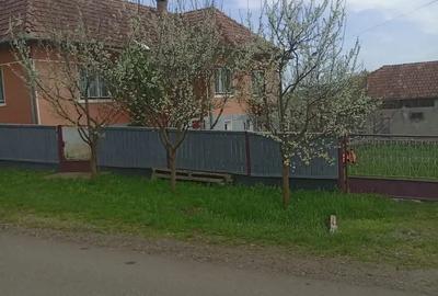 Casă cu 3 camere în Băla - 2