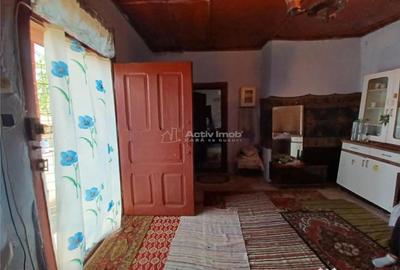 Casă cu 3 camere cu Teren 4658 Mp în Ghimpați - 13