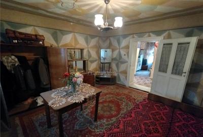 Bogodint, Casa 440mp cu 4 Hectare Teren, Pret Negociabil - 5