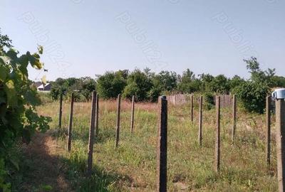 Casă cu 6 camere în Poiana - 6