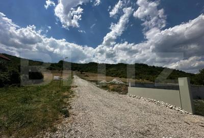 Teren de 15500 mp, în Aiud - 3