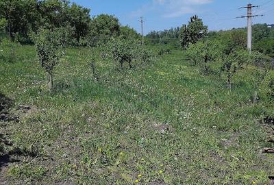 Teren de 6000 mp, în Fălticeni - 3