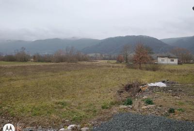 Casă în Copalnic - 3