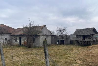 Casă individuală cu 2 camere cu Teren 518 Mp în Pădurețu - 1