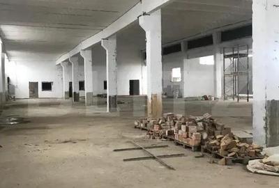 Hala Industriala Mare | 1.250 mp | Acces DN71 | U?i Industriale Mari | Targovi?t - 6