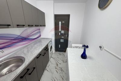Apartament cu 2 camere de inchiriat-Casa de cultura-Brd - 8