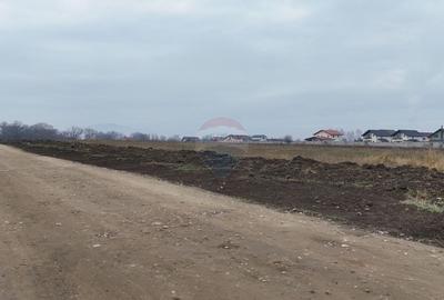 Teren 947 mp Sanpetru | Comision 0% | PUZ & CU - 7