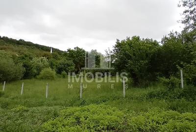 Teren Construcții intravilan de 994 mp, în Budiu Mic - 5