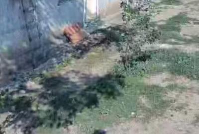 Casă cu 3 camere cu Teren 2500 Mp în Băneasa - 9