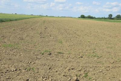 Spațiu comercial, în Central - 10