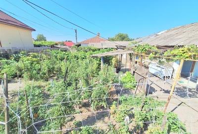 Teren 371 mp curti constructii+casa 5 camere si anexe, zona Izvoare - 20