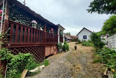 Casa renovata cu teren 7000mp la 19 km de Deva Sat Nojag, Hunedoara - 4