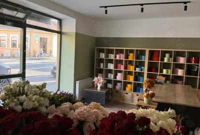 Florarie de vanzare Brasov - 2