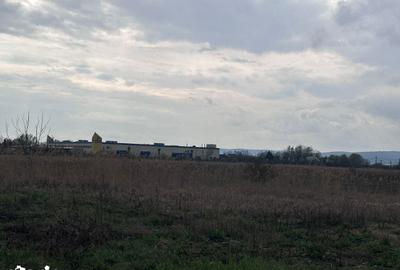 Teren de 26112 mp, în Ernei - 2