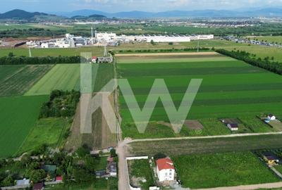 Teren Construcții intravilan de 17240 mp, în Stupini - 2