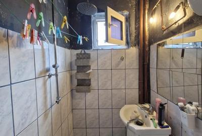 Pajura- Hrisovului - 5