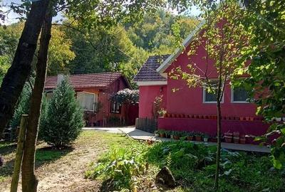 Casă cu 4 camere cu Teren 705 Mp în Copăcel - 20