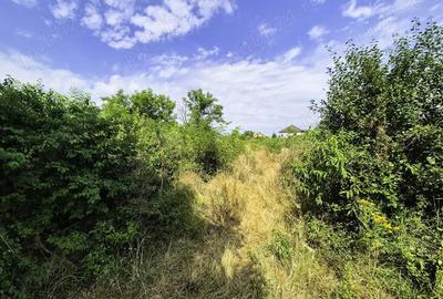 Teren de 1011 mp, în Mărăcineni - 1