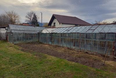 Particular, vand casa + teren de 2200m2 in Zarne?ti, Tohanul Vechi - 5