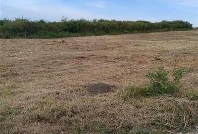 RECO Teren intravilan, Paleu - 1